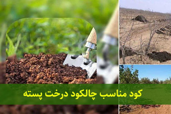 گرانول اگری‌ پلکس